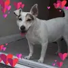 Wendy Dodson - @wendy.dodson6 - TikTok