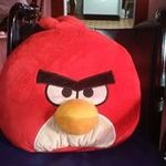 Wendi Doerr - @wendidoerr - Instagram