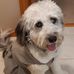 Wendy Doerr - Facebook