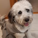 Wendy Galbraith-Doerr - @doerr6106 - Instagram