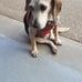 Wendy Dotson - Facebook