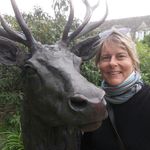 Wendy Downing - @wendydowning_ - Instagram