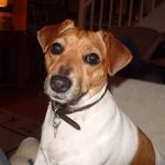 Wendy Downing - @wendy.downing.77 - Instagram