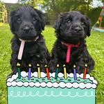 Wendy Downing-Smith - @wendydowningsmith - Instagram