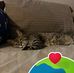Wendy Drayton - Facebook