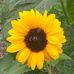 Wendy Drummond - Facebook
