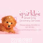 Wendy Drummond - @sparklesdoggrooming - Instagram