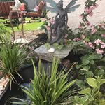 Wendy Drummond - @paiges_garden - Instagram