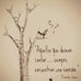 Wendy Torr - Facebook
