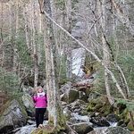Wendy Jackson Dulac - @wendyjacksondulac - Instagram