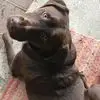 Wendy Dutton - @wendy.dutton - TikTok