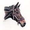 Wendy Dyer685 - @wendydyer685 - TikTok