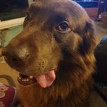 @wendyeason59 - Instagram