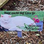 Wendy Ebert - @wendy.ebert.3 - Instagram