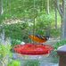 Wendy Ebert Laymon - Facebook