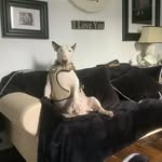 Wendy Egan - @woowoo65_ - Instagram
