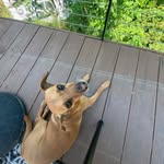 Wendy Egan - @wendyegan29 - Instagram