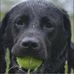 Wendy Egan - Facebook