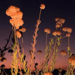 Wendi Eilers - @wendi_ejilers - Instagram