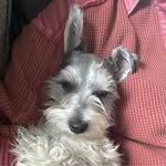 Wendy Emerson - @pippytsm - Instagram