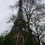 Wendy Engle - @wengle31 - Instagram