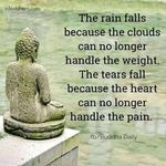 Wendy Englert - @wendy.englert2013 - Instagram