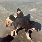 Wendy Epstein - @epstein6747 - Instagram