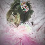 Wendy Trigg Kanter-Epstein - @wendyepstein - Instagram