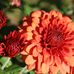Wendy Erb - Facebook