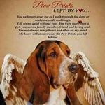 Wendy Ernst - @wackywendy3764 - Instagram