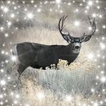 Wendy Ernst Hess - @wendyernsthess - Instagram