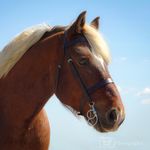 Wendy Ernster - @wendyernster - Instagram