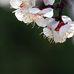 Wendy Fahey - Facebook