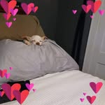 Wendy Farris - @farriswendy - Instagram