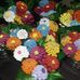 Wendy Farris - Facebook