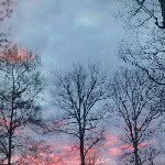 Wendy - @wendyfarrish - Instagram