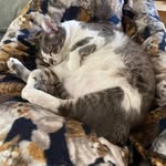 Wendy Whalen Farris - @whalenfarris - Instagram