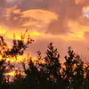 3feathers - @wendyfeathers975 - TikTok