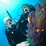 wendy Featherston - @featherstonwendy - Instagram