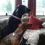 Wendy Featherstone - @wendy.featherstone.564 - Instagram