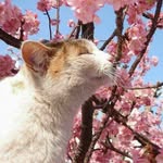 wendy_feed - @wendy_feed - Instagram