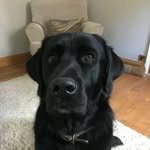 Wendy Feenan - @wendyfeenan - Instagram