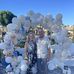 Wendy Feist - Facebook