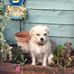 Wendy Fielding - Facebook