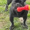 wendyfielding4 - @wendyfielding4 - TikTok