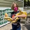 wendyfielding65 - @wendyfielding65 - TikTok