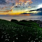 Wendy Fine - @nwskantz - Instagram