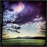 Rene Wiers - @wendyfleishmantnl - Instagram