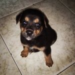 Wendy - @wendyforerof - Instagram