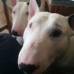 Wendy Friedman - @friedmanwendy - Instagram